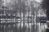 探秘唐山南湖：静谧湖光与自然奇观的相遇
