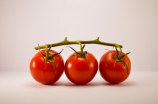 番茄红素(番茄红素的功效和食用方法)