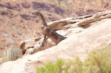 常州恐龙园图片及其特色介绍