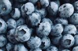 了解蓝莓的英文名，再认识这个美味水果