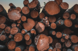 简介木材材积表及用途
